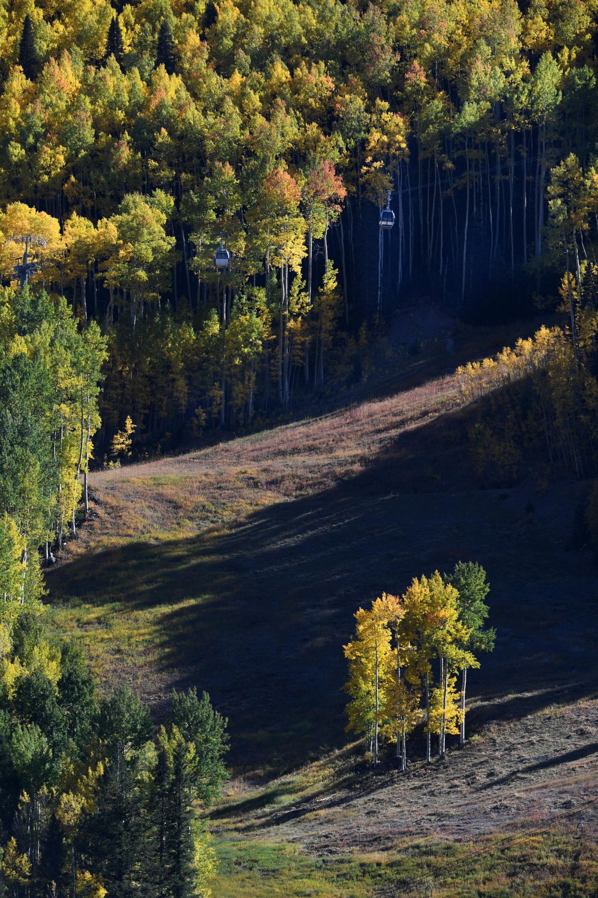 100619-news-aspens 61.JPG